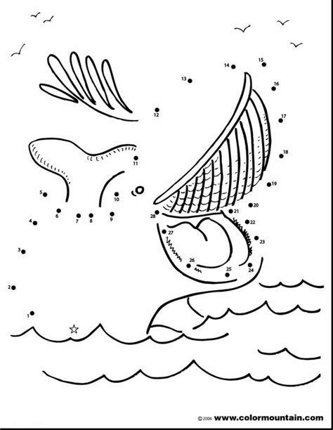 Whale Activity and Its