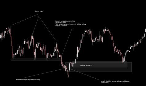 The Importance of Liquidity